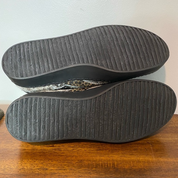 Cappelletti Lazio Sneaker - Picture 11 of 12